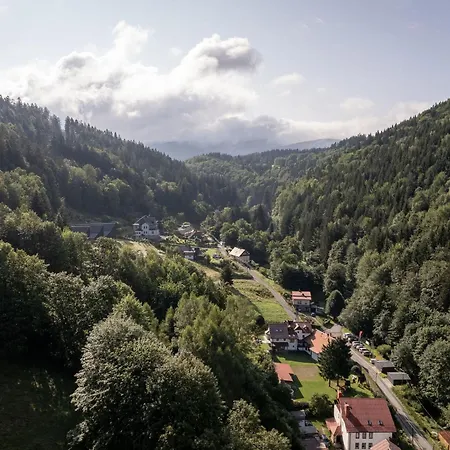 Zawidoki * 米迪格兹