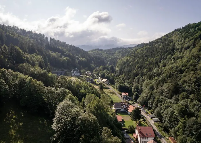 Zawidoki * Wölfelsgrund