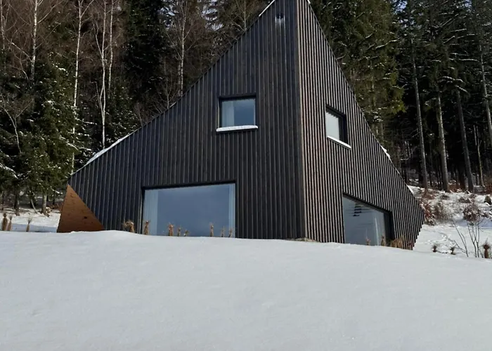 Zawidoki * Мендзыгуже